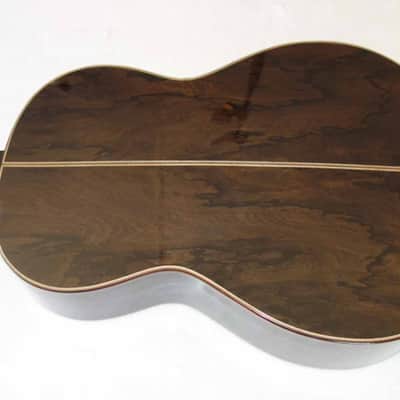 LUCIO NÚÑEZ Sophia 13-String Classical Harp Guitar, Spruce/Ziricote, w/Custom Case, Extremely Rare!! image 4