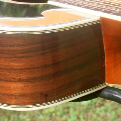 1977 Yairi YW600G Grammer Guitar Style New Jacaranda - Natural+Hard Case image 12