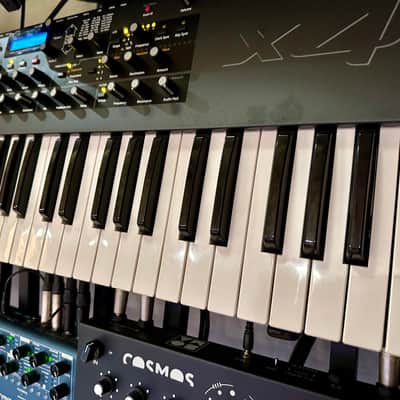 Dave Smith Instruments Mopho x4 44-Key 4-Voice Polyphonic Synthesizer 2013 - 2018 - Black with Wood Sides image 4