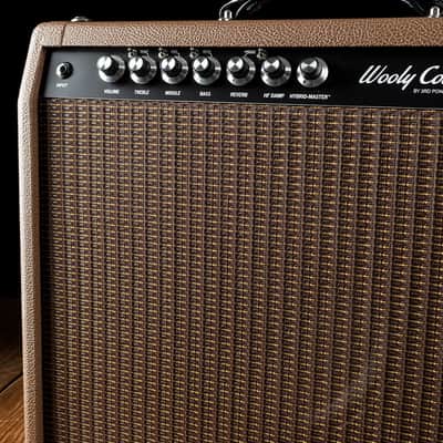 3rd Power Wooly Coats Extra Spanky - 35 Watt 1x12" Guitar Combo - Brown - Free Shipping image 4