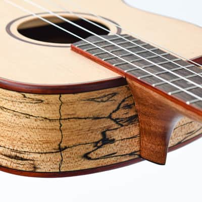 Cordoba 24B Spalted Maple Spruce Baritone Ukulele image 11