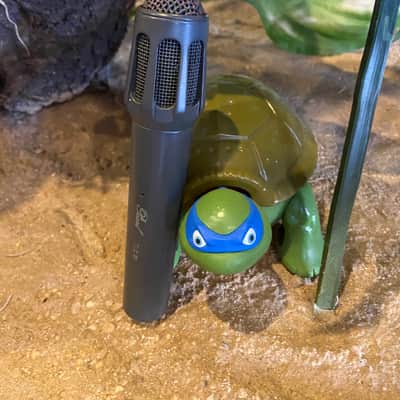 Pearl TLC 91 Handheld Condensor Microphone 100 hz bass cut Made in Sweden Hand Held Mic image 2