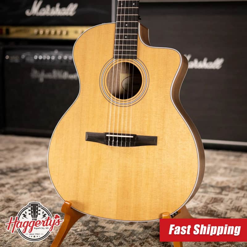 Taylor 214ce-N Nylon Grand Auditorium Acoustic/Electric Guitar with Gig Bag image 1