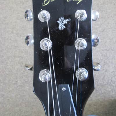 Blue Frog Made in the USA  335 Style Flametop 2014 Vintage Amber image 8