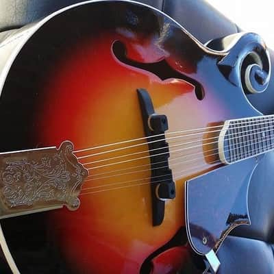 Berkeley Sunburst F-Style Mandolin Maple Back/Side image 9