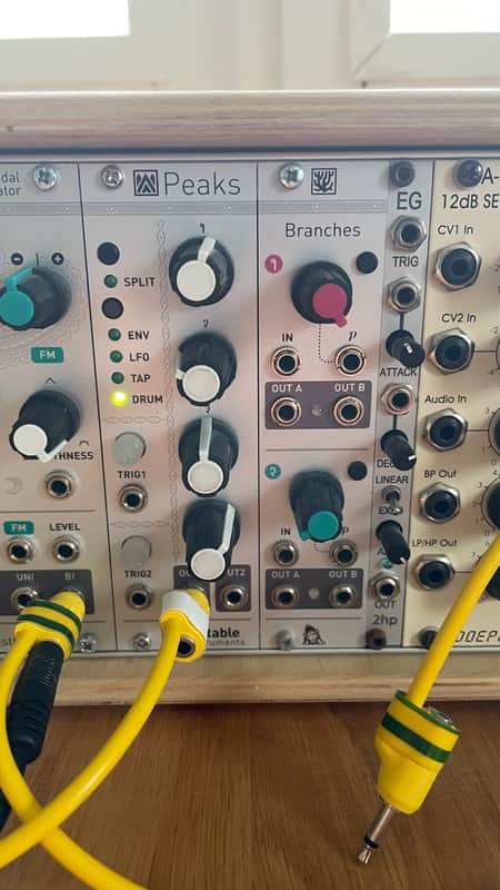 Mutable Instruments Branches