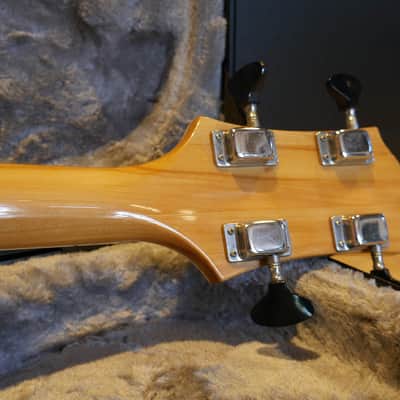 Epiphone EA-260 red 70's image 6