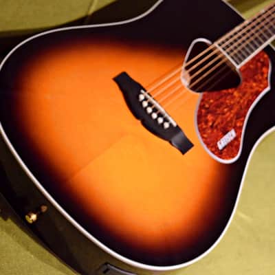 Gretsch 5024E Rancher ` 2023 - Sunburst image 8