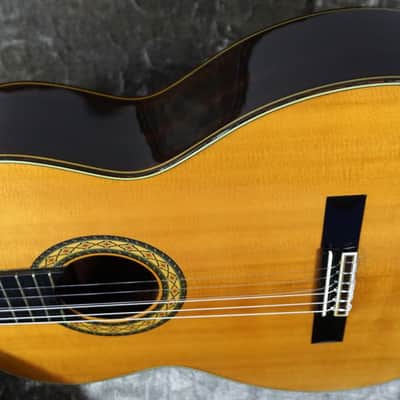 Takamine No.10 1980 - Excellent image 5