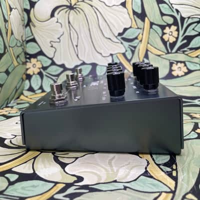 Immagine Strymon Timeline - 4