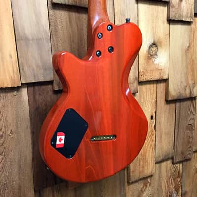 2008 Godin LG P90 Mahogany w/ Original Hardshell Case image 6