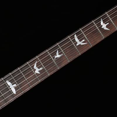 PRS Wood Library DGT Gold Top Brazilian (228) image 9