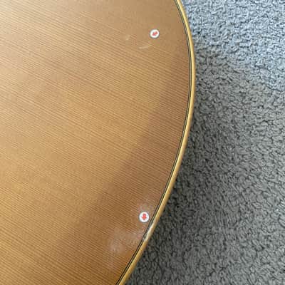 Eko 39 Inch Classical Guitar Project, Spruce Top, Rosewood Body, Mahogany Neck image 25