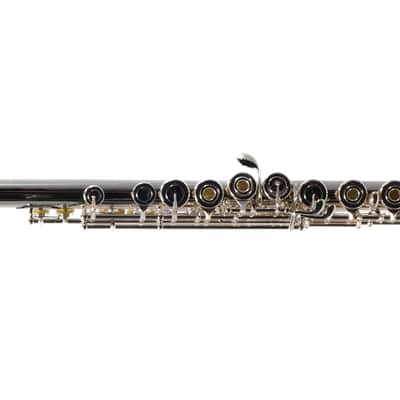 William S. Haynes AF780SE-BO C# 'Amadeus' Silver Flute SN B2406974 image 4