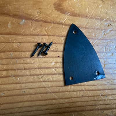 BC Rich ASM Guitar Truss Rod Cover 2003 image 2