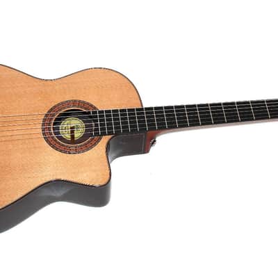 Guild GN-5 Classical Nylon-String Acoustic Electric Cutaway Guitar w/ Case image 1