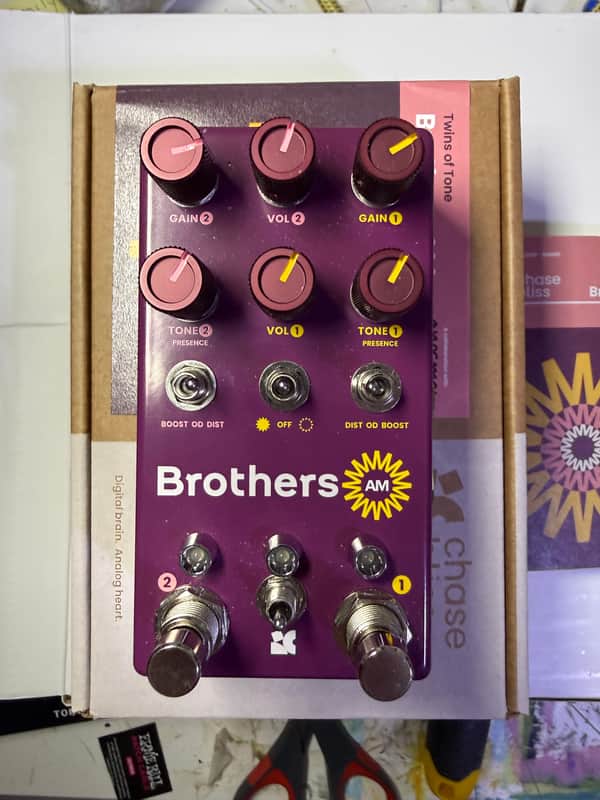 Chase Bliss Audio Brothers AM