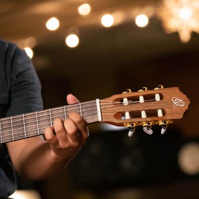 Ortega RCE131 Family Series Pro Solid Cedar Top Mahogany Neck Cutaway Nylon 6-String Classical Acoustic-Electric Guitar w/Gig Bag image 19