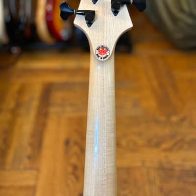 F Bass BN5 image 4
