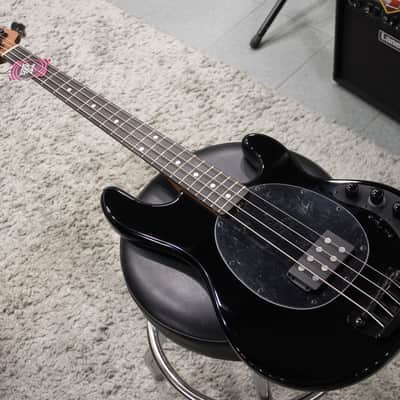 Sterling by Music Man DarkRay - brand new / free shipping image 6