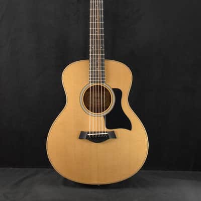 Taylor GS Mini image 2