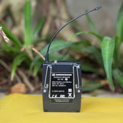 Sennheiser EK 100 G3 Wireless Diversity Receiver (Band A: 516-558 MHz) image 4