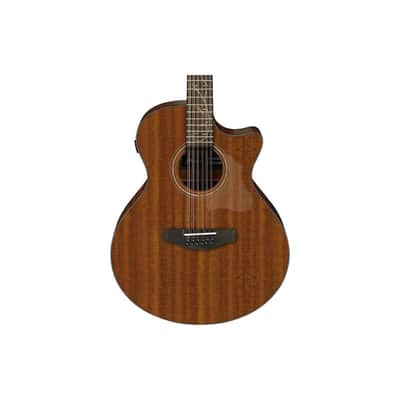 Ibanez AE2912 12-String Acoustic Electric Guitar, Katalox Fretboard, Natural Low Gloss image 3