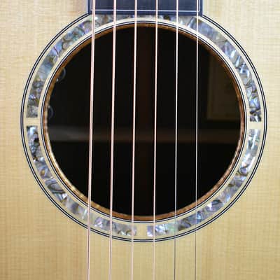 2010 Breedlove Special Edition Focus D image 7
