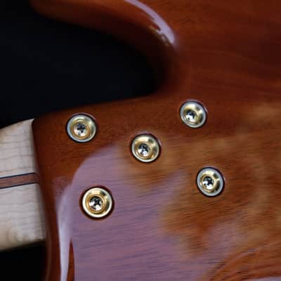Left Handed Nordstrand Very Custom 5 String Bass image 12