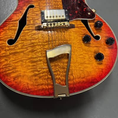 Johnson Model JH-440-C Hollow-Body Electric Guitar, MIC (Used) image 2