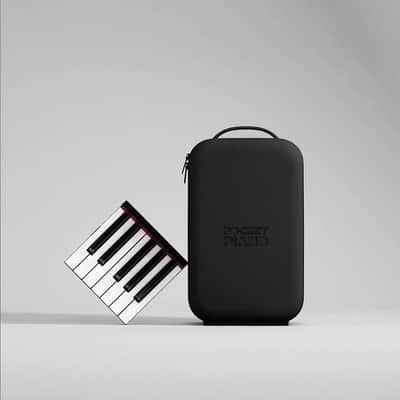 Pocket Piano Portable MIDI Full Size Keyboard w/Travel Case, Pedals & Bluetooth. Free USA Shipping image 1
