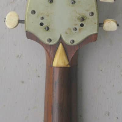 Calace Mandolin 1905 - Natural image 5