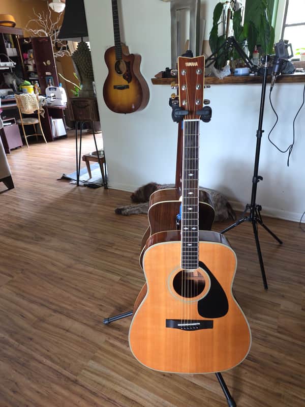 Yamaha FG365sii 1980 - Natural