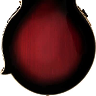 Washburn Americana M3SWE F-Style Acoustic-Electric Mandolin, Solid Spruce Top, Trans Wine Red image 3