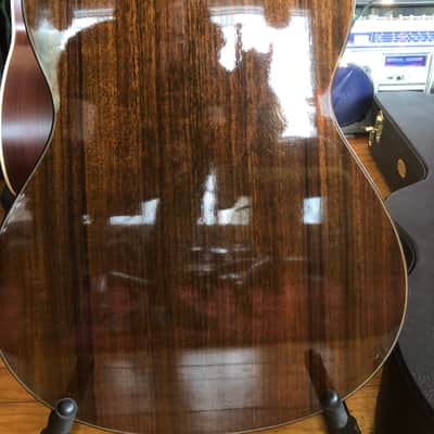 Larrivee Ls-19 Gloss image 9