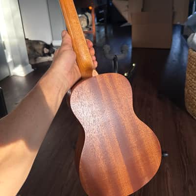 Cordoba Protege Ukelele Uke 2015? - Wood Nice Case Stand Like New image 16