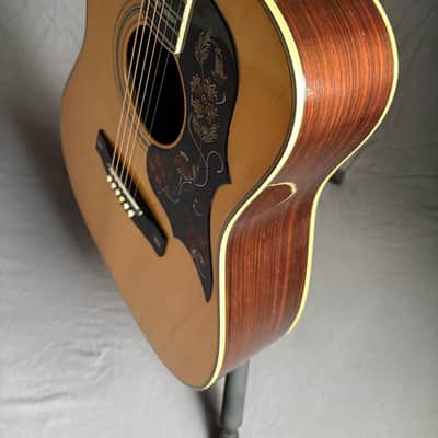 1977 Yamaha FG-401W – MIJ, Ebony fingerboard & Bridge, Excellent image 10