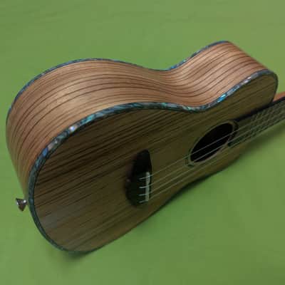 QUALITY SOPRANO UKULELE DONNER DUC -2 WITH CASE image 3