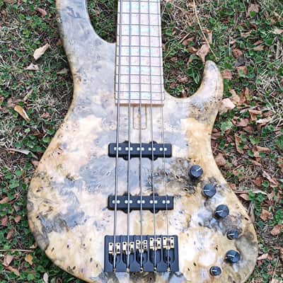 Sivcak OSC III Custom 24 Buckeye Burl top image 1