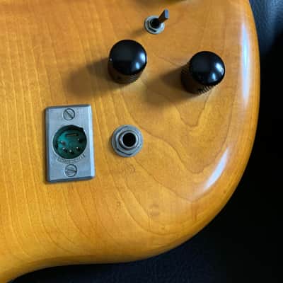 Alembic ALEMBIC Series One 77 I image 3