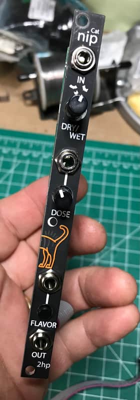 2hp Cat v2 + Cat Nip - Fat Cat Bundle - Halloween 2021 Black eurorack synth multi-effects module image 1