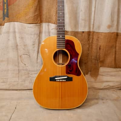 Gibson B-25 1965 - Natural image 14