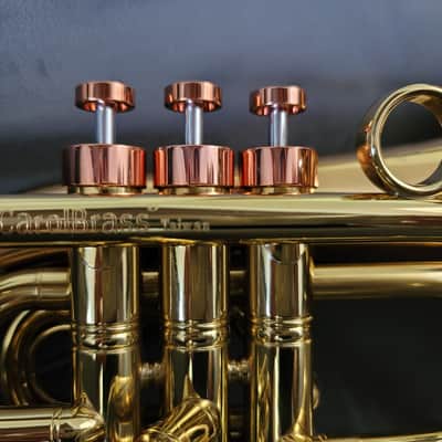 CarolBrass Pocket Flugelhorn / Taylor Phat Puppy 2024 - Polished / Lacquered image 10