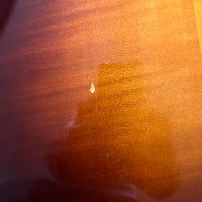 Eastman AR803D 2007 - Sunburst image 11