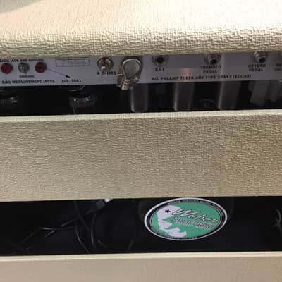 Allen Amplification Encore Series Beige 1X15" image 2