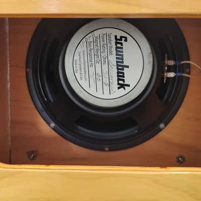Custom 1x12 Guitar Speaker Cabinet Scumback Scumnico SC75 30W 8 Ohm image 4