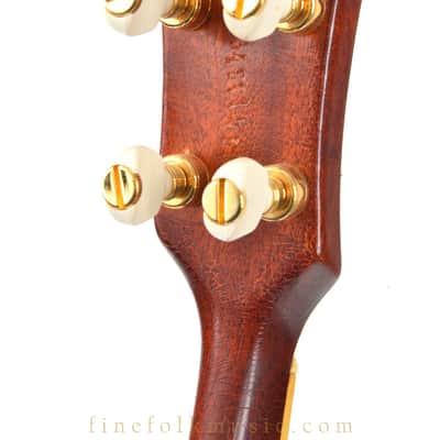 1970s FRAMUS OLDTIME GOLD SERIES TENOR BANJO image 6