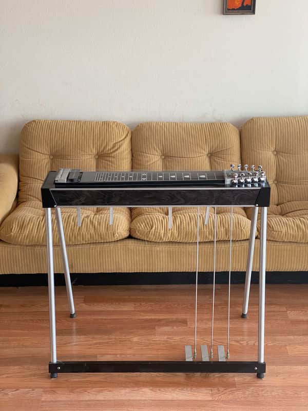 Carter Starter Pedal steel image 1