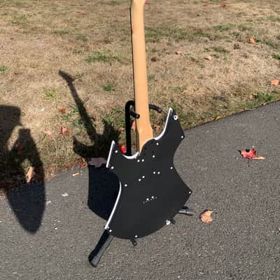 Custom R L James Guitar Custom Animal 2026 - Custom image 21