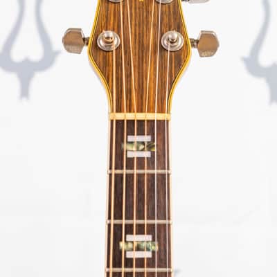 Daion B-55E Tobacco Sunburst "Snake Loaded" Japanese Market Model image 17